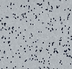 Линолеум Forbo Sphera Ec 450008 silver grey фото 1 | FLOORDEALER